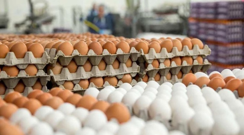 საქართველოში კვერცხი გაძვირდა - მწარმოებლები მიზეზებზე