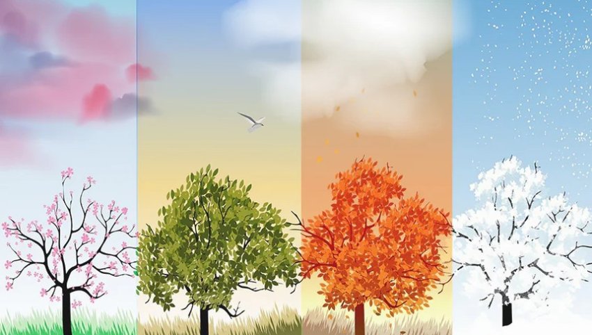 მეცნიერებმა დედამიწაზე სეზონების შესახებ სენსაციური აღმოჩენა გააკეთეს მეცნიერებმა დედამიწაზე სეზონების შესახებ სენსაციური აღმოჩენა გააკეთეს