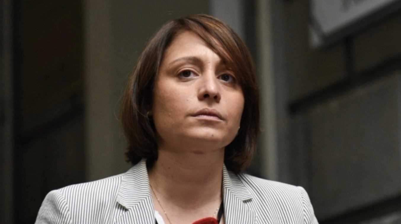 ელენე ხოშტარია საკანონმდებლო პაკეტზე: "ფეხები არავის მოჭამოთ, რუსებო!"